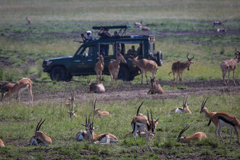 Elewana Sand River Masai Mara Hotell Maasai Mara Exteriör bild